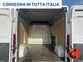 Fiat Ducato 35 2.3 MJT 140C-(PM-TM L2H2)SENSORI-FURGONE-E6 Weiß - thumbnail 27