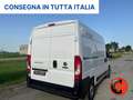Fiat Ducato 35 2.3 MJT 140C-(PM-TM L2H2)SENSORI-FURGONE-E6 Weiß - thumbnail 7