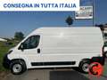 Fiat Ducato 35 2.3 MJT 140C-(PM-TM L2H2)SENSORI-FURGONE-E6 Weiß - thumbnail 3