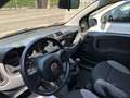 Fiat Panda 1.0 firefly hybrid S&S Arancione - thumbnail 5