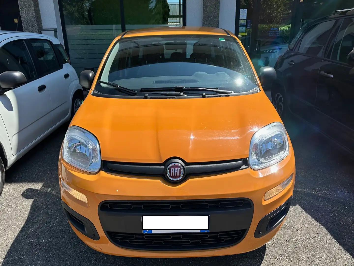 Fiat Panda 1.0 firefly hybrid S&S Arancione - 2