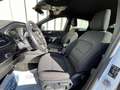 Ford Kuga 1.5 Ecoblue ST-LINE 2wd 120cv Auto Bianco - thumbnail 6