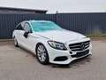 Mercedes-Benz C 220 C 220 d 4MATIC T AMG Line Autom.360°Kamera,LED Wit - thumbnail 1