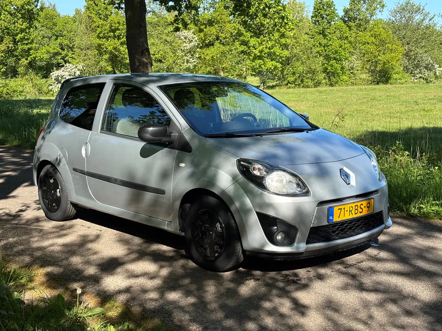 Renault Twingo Twingo 1.2-16V Collection Srebrny - 2