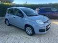 Fiat Panda Panda 1.0 FireFly S&S Hybrid 5 Posti Gris - thumbnail 13