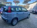 Fiat Panda Panda 1.0 FireFly S&S Hybrid 5 Posti Gris - thumbnail 15