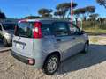 Fiat Panda Panda 1.0 FireFly S&S Hybrid 5 Posti Gris - thumbnail 5