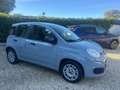 Fiat Panda Panda 1.0 FireFly S&S Hybrid 5 Posti Gris - thumbnail 11
