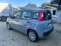 Fiat Panda Panda 1.0 FireFly S&S Hybrid 5 Posti Gris - thumbnail 14