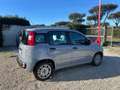 Fiat Panda Panda 1.0 FireFly S&S Hybrid 5 Posti Gris - thumbnail 4
