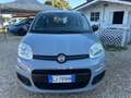 Fiat Panda Panda 1.0 FireFly S&S Hybrid 5 Posti Gris - thumbnail 1