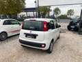 Fiat Panda Panda 1.3 multijet Diesel 95cv - thumbnail 10