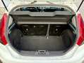 Ford Fiesta 5p 1.6 tdci Titanium c/esp 95cv E5 - thumbnail 15