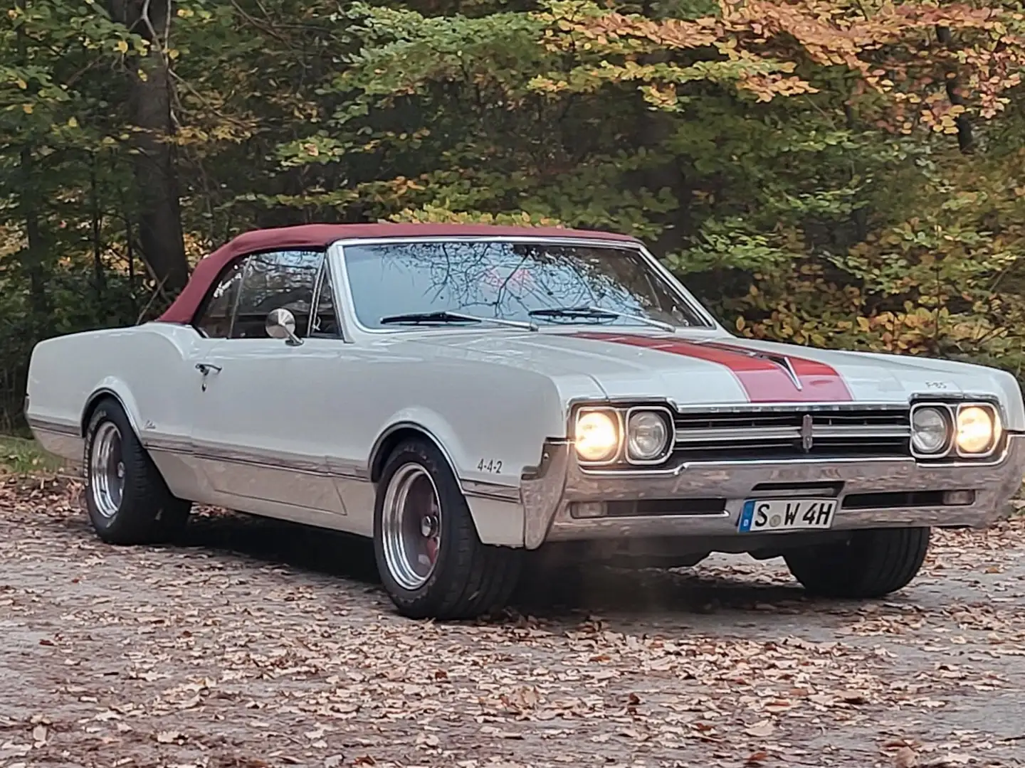 Oldsmobile Cutlass 442 Alb - 2