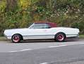 Oldsmobile Cutlass 442 Blanc - thumbnail 2