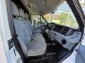 Ford Transit Kasten FT 300 M Trend Weiß - thumbnail 6