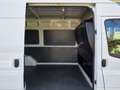Ford Transit Kasten FT 300 M Trend Weiß - thumbnail 8