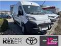 Toyota Proace Max 2.2-l-D 35 L2H2 Work Alb - thumbnail 1