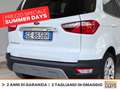 Ford EcoSport 1.0 ecoboost titanium s&s 125cv my20.25 Bianco - thumbnail 18