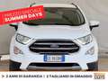 Ford EcoSport 1.0 ecoboost titanium s&s 125cv my20.25 Bianco - thumbnail 3