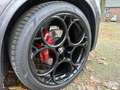 Alfa Romeo Stelvio 2.0 T AWD B-Tech Grijs - thumbnail 16