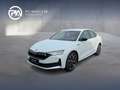 Skoda Octavia Sportline TDI DSG Weiß - thumbnail 1