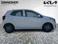 Kia Picanto 1.0 Vision Navigation+Kamera+SHZ Wit - thumbnail 6