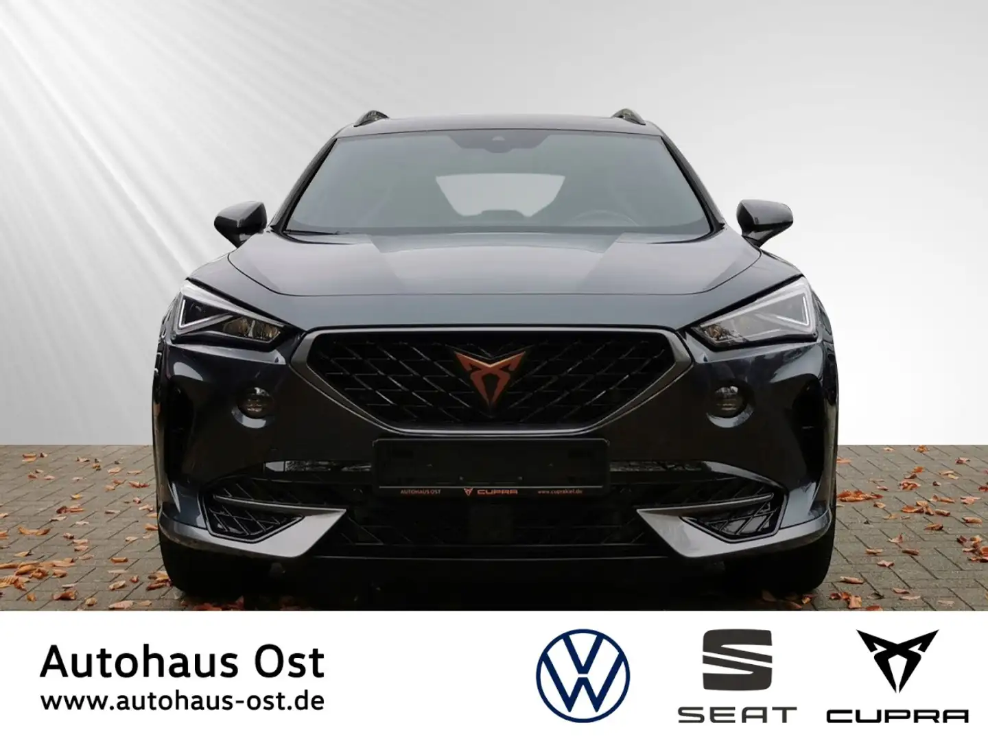 CUPRA Formentor VZ e-Hybrid 1.4 TSI DSG LED Navi DCC Klima Navi Grau - 2