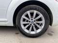 Volkswagen Coccinelle 1.2 16V TSI BlueMotion - 105  Design - Apple Car P Blanc - thumbnail 21