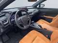 Lexus UX 250h Amazing Edition *Kamera*SHZ*PDC*LED*TOP* Silber - thumbnail 9