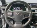 Lexus UX 250h Amazing Edition *Kamera*SHZ*PDC*LED*TOP* Silber - thumbnail 13