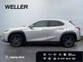 Lexus UX 250h Amazing Edition *Kamera*SHZ*PDC*LED*TOP* Silber - thumbnail 5