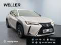Lexus UX 250h Amazing Edition *Kamera*SHZ*PDC*LED*TOP* Silber - thumbnail 4