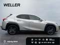 Lexus UX 250h Amazing Edition *Kamera*SHZ*PDC*LED*TOP* Silber - thumbnail 10