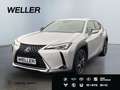Lexus UX 250h Amazing Edition *Kamera*SHZ*PDC*LED*TOP* Silber - thumbnail 1