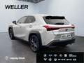 Lexus UX 250h Amazing Edition *Kamera*SHZ*PDC*LED*TOP* Silber - thumbnail 7
