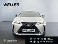 Lexus UX 250h Amazing Edition *Kamera*SHZ*PDC*LED*TOP* Silber - thumbnail 2