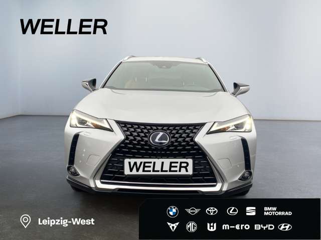 Lexus UX 250h Amazing Edition *Kamera*SHZ*PDC*LED*TOP*