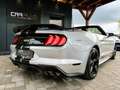 Ford Mustang Shelby GT 500 5.0 V8 Premium Performance Silber - thumbnail 4