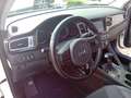 Kia Niro Niro 1.6 GDi DCT HEV Style Bianco - thumbnail 13