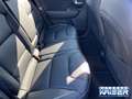 Kia Niro e-Spirit Leder 3 Phasen Kamera JBL Sound Negro - thumbnail 17
