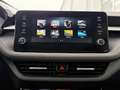 Skoda Fabia Selection 1.0 TSI 116 PS DSG WINTERPAKET Gris - thumbnail 18