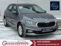 Skoda Fabia Selection 1.0 TSI 116 PS DSG WINTERPAKET Gris - thumbnail 1
