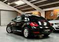 Volkswagen Coccinelle 1.2L 105 ch Bluetooth, Régulateur de vitesse Historique complet État remarquable Schwarz - thumbnail 4