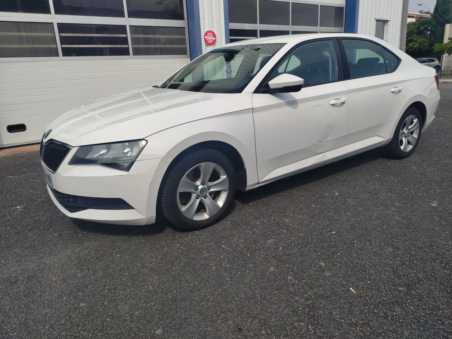 Skoda Superb Superb 1.6 TDI 120 Business Plus Bianco - 1