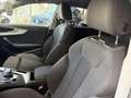 Audi A4 2.0TDI ultra Design edition S tronic 150 Blanco - thumbnail 16