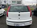 Fiat Punto 1.2 5 porte Actual Grigio - thumbnail 4