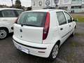 Fiat Punto 1.2 5 porte Actual Grigio - thumbnail 3
