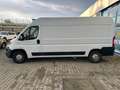 Fiat Ducato L4 2.3 JTD, KLIMA, RÜCKFAHRKAMERA White - thumbnail 4