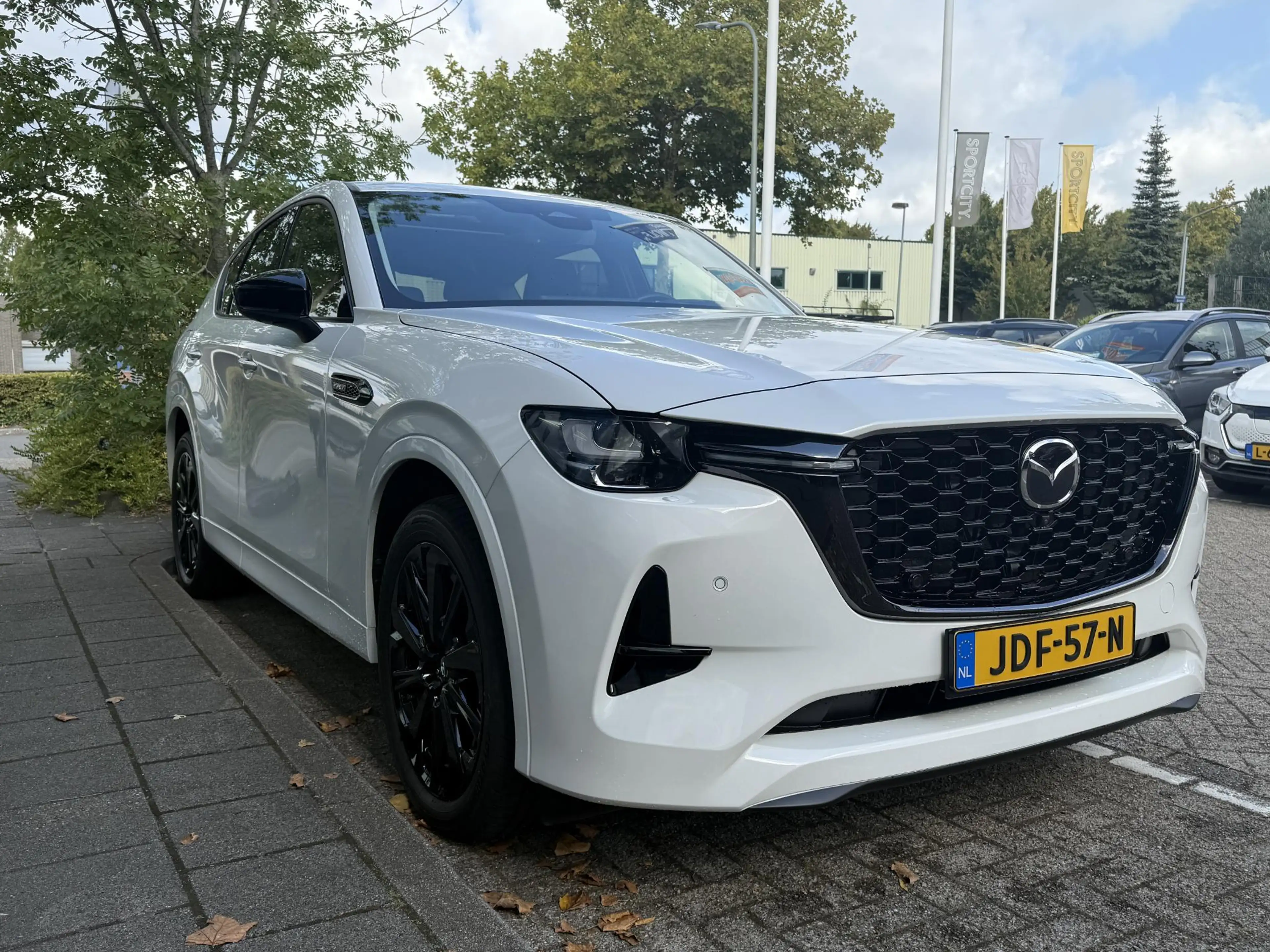 Mazda CX-60 2.5 e-SkyActiv PHEV Homura Business Edition Bose, — photo 3